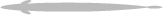 img/fish-long.png